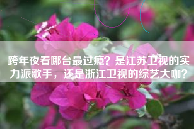 跨年夜看哪台最过瘾？是江苏卫视的实力派歌手，还是浙江卫视的综艺大咖？