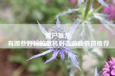僵尸暴龙,
有哪些好玩的单机射击游戏值得推荐