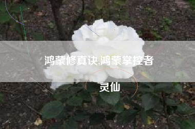 鸿蒙修真诀,鸿蒙掌控者
灵仙 鸿蒙修真诀,鸿蒙掌控者
灵仙