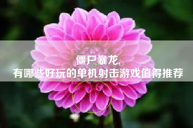 僵尸暴龙,
有哪些好玩的单机射击游戏值得推荐