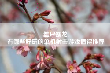 僵尸暴龙,
有哪些好玩的单机射击游戏值得推荐