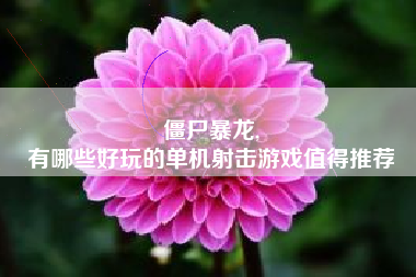 僵尸暴龙,
有哪些好玩的单机射击游戏值得推荐