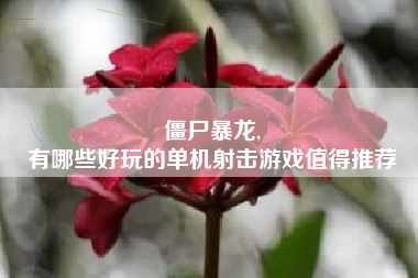 僵尸暴龙,
有哪些好玩的单机射击游戏值得推荐