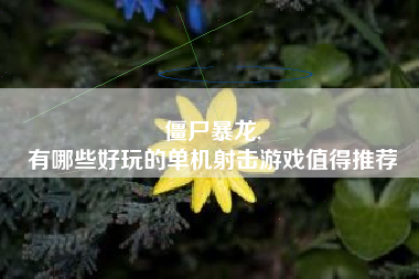 僵尸暴龙,
有哪些好玩的单机射击游戏值得推荐