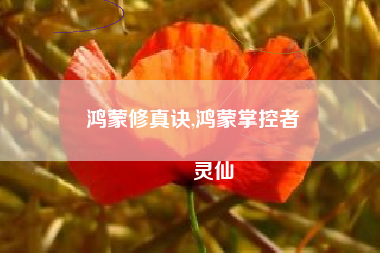 鸿蒙修真诀,鸿蒙掌控者
灵仙 鸿蒙修真诀,鸿蒙掌控者
灵仙