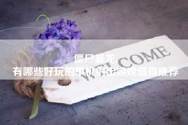 僵尸暴龙,
有哪些好玩的单机射击游戏值得推荐