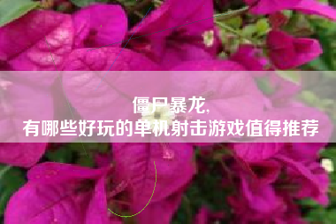 僵尸暴龙,
有哪些好玩的单机射击游戏值得推荐