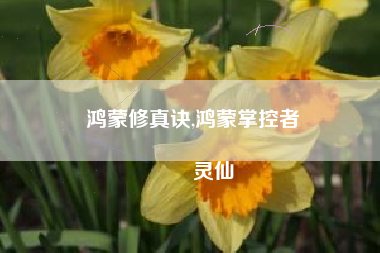 鸿蒙修真诀,鸿蒙掌控者
灵仙 鸿蒙修真诀,鸿蒙掌控者
灵仙