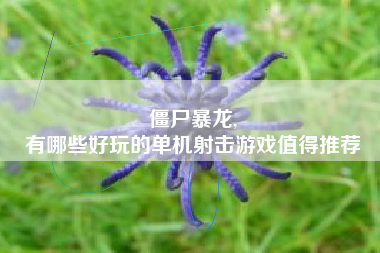 僵尸暴龙,
有哪些好玩的单机射击游戏值得推荐