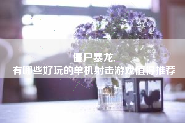 僵尸暴龙,
有哪些好玩的单机射击游戏值得推荐