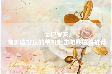 僵尸暴龙,
有哪些好玩的单机射击游戏值得推荐