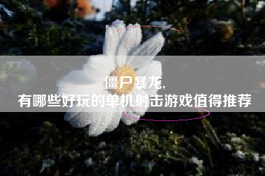 僵尸暴龙,
有哪些好玩的单机射击游戏值得推荐