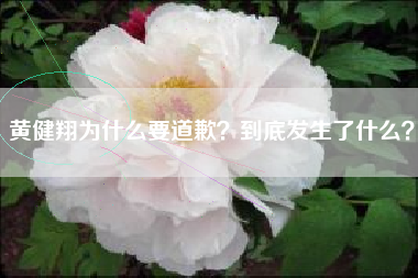 黄健翔为什么要道歉？到底发生了什么？