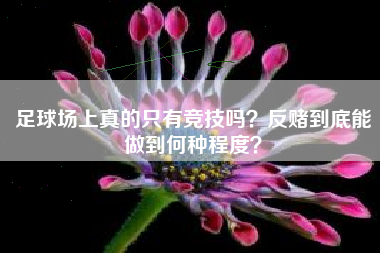 足球场上真的只有竞技吗？反赌到底能做到何种程度？