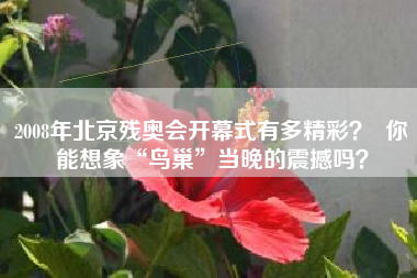 2008年北京残奥会开幕式有多精彩？  你能想象“鸟巢”当晚的震撼吗？