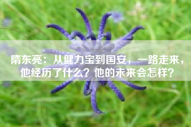 隋东亮：从健力宝到国安，一路走来，他经历了什么？他的未来会怎样？