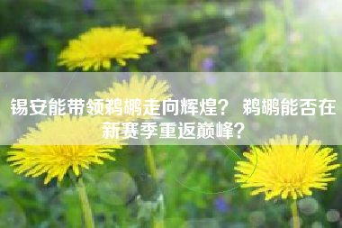 锡安能带领鹈鹕走向辉煌? 鹈鹕能否在新赛季重返巅峰?