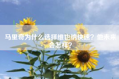 马里奇为什么选择维也纳快速？他未来会怎样？