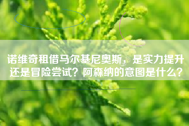 诺维奇租借马尔基尼奥斯，是实力提升还是冒险尝试？阿森纳的意图是什么？