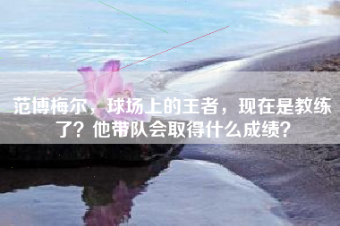 范博梅尔，球场上的王者，现在是教练了？他带队会取得什么成绩？