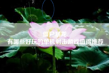 僵尸暴龙,
有哪些好玩的单机射击游戏值得推荐