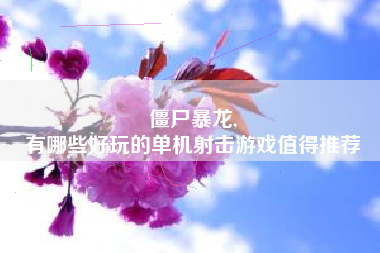 僵尸暴龙,
有哪些好玩的单机射击游戏值得推荐