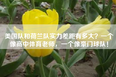 美国队和荷兰队实力差距有多大？一个像高中体育老师，一个像豪门球队！