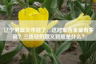 辽宁男篮又夺冠了，这冠军含金量有多高？三连冠的意义到底是什么？