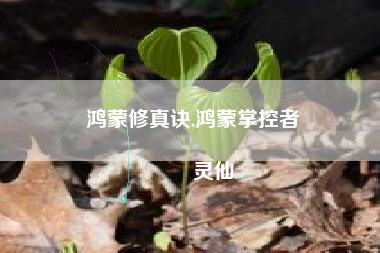 鸿蒙修真诀,鸿蒙掌控者
灵仙 鸿蒙修真诀,鸿蒙掌控者
灵仙