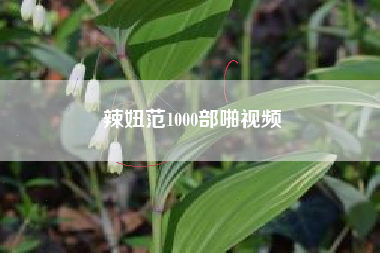 辣妞范1000部啪视频