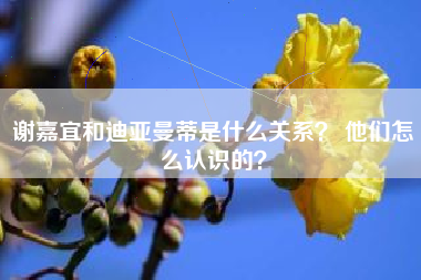 谢嘉宜和迪亚曼蒂是什么关系？ 他们怎么认识的？