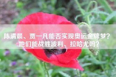 陈清晨、贾一凡能否实现奥运金牌梦? 她们能战胜波利、拉哈尤吗?