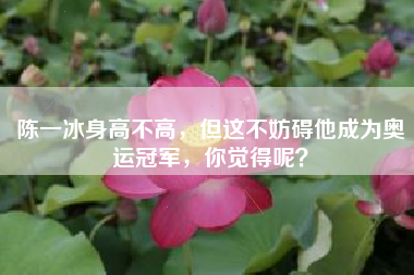 陈一冰身高不高,但这不妨碍他成为奥运冠军,你觉得呢?