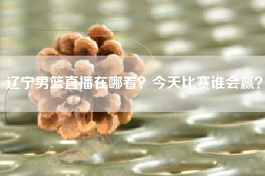 辽宁男篮直播在哪看?今天比赛谁会赢?
