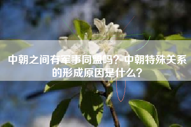 中朝之间有军事同盟吗？中朝特殊关系的形成原因是什么？