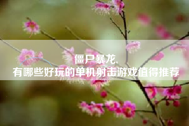 僵尸暴龙,
有哪些好玩的单机射击游戏值得推荐