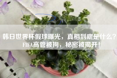 韩日世界杯假球曝光，真相到底是什么？  FIFA高管被拘，秘密被揭开！
