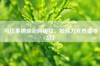 马拉多纳领衔阿根廷，如何力克西德夺冠？