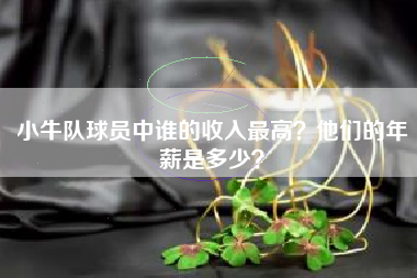小牛队球员中谁的收入最高？他们的年薪是多少？