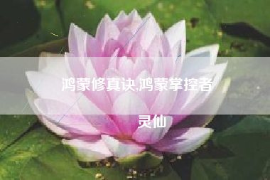 鸿蒙修真诀,鸿蒙掌控者
灵仙 鸿蒙修真诀,鸿蒙掌控者
灵仙