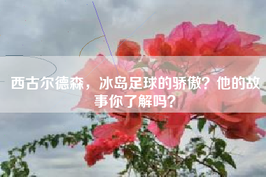 西古尔德森，冰岛足球的骄傲？他的故事你了解吗？