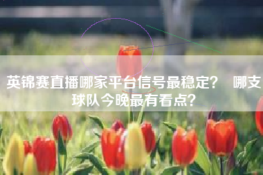 英锦赛直播哪家平台信号最稳定？  哪支球队今晚最有看点？