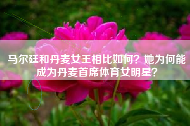 马尔廷和丹麦女王相比如何？她为何能成为丹麦首席体育女明星？