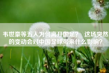 韦世豪等五人为何离开国足？  这场突然的变动会对中国足球带来什么影响？