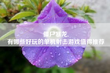 僵尸暴龙,
有哪些好玩的单机射击游戏值得推荐