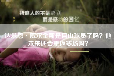 达米恩·威尔金斯是自由球员了吗？他未来还会重返赛场吗？