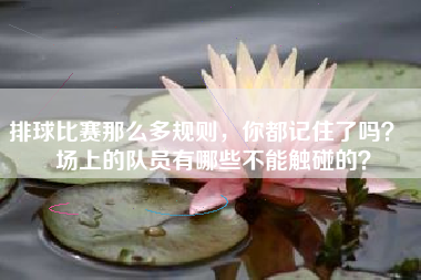 排球比赛那么多规则，你都记住了吗？  场上的队员有哪些不能触碰的？