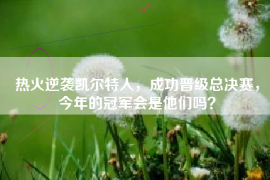 热火逆袭凯尔特人，成功晋级总决赛，今年的冠军会是他们吗？