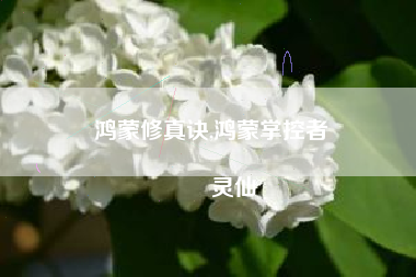 鸿蒙修真诀,鸿蒙掌控者
灵仙 鸿蒙修真诀,鸿蒙掌控者
灵仙