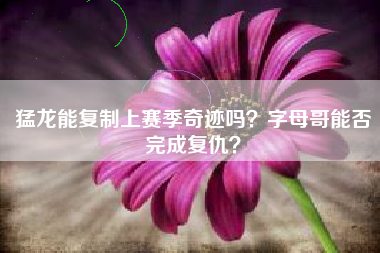 猛龙能复制上赛季奇迹吗？字母哥能否完成复仇？